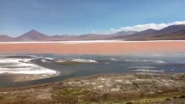 Laguna Colorado - Bolivia смотреть онлайн