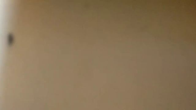 Видео №528043 смотреть онлайн