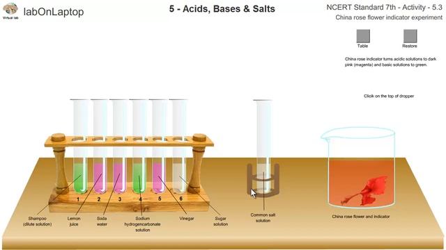 NCERT Class 7th Activity 5.3 | Acids, Bases & Salts | China Rose Indicator | labOnLaptop смотреть онлайн