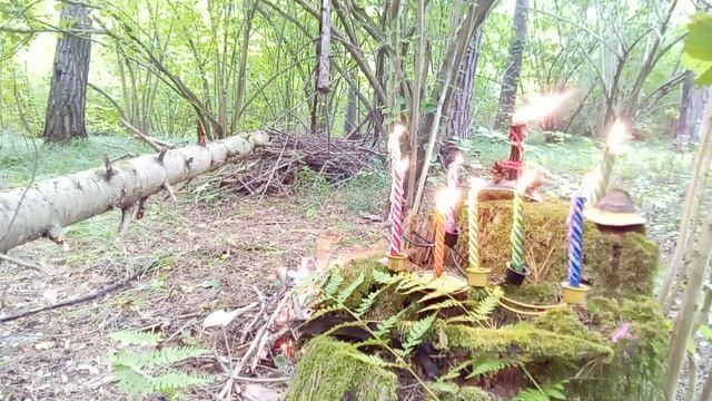 чистка от лярв,сущностей,подселений,негатива,защита,поднятие вибраций на позитив,чистка ментала смотреть онлайн