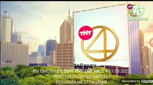 Взлом Канала Brlige Паша+Запуск ТНТ Зайчики 4 (01.05.2023)