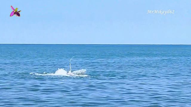 Солнце, Каспийское море и жара! Лето - Это хорошо! 30.06.23. 09:12 Бильгя - Пляж дачников смотреть онлайн
