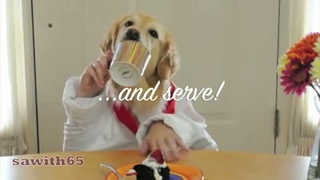 Собака, как человек! Готовит еду! (Cooking With Ginger -- golden retriever bakes a cake ) смотреть онлайн
