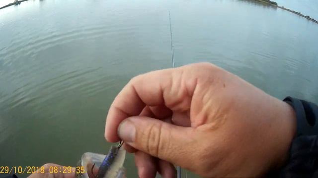 Ловля судака с берега. Дон Джиг Судак смотреть онлайн