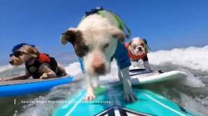 10 Unusual Jobs That Will Leave You Surprised