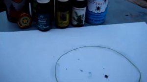 Какое самое лучшее средство от клещей ,проверка эффективности/How to Protect Yourself from Ticks