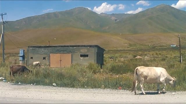 Travel Vlog: Hitchhiking in Kyrgyzstan (2010) смотреть онлайн