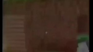 Самое быстрое видео года