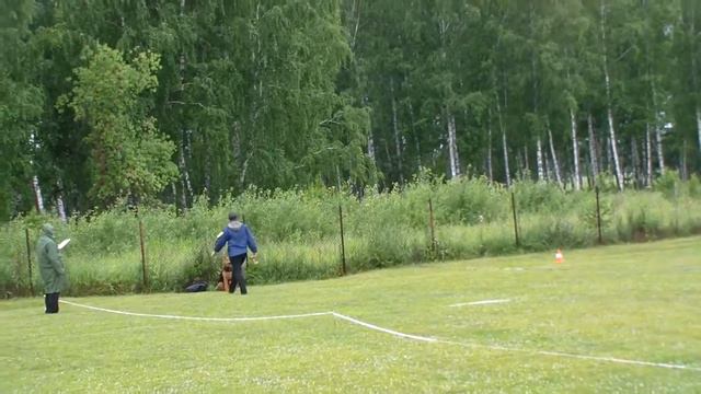 Высоцкая и эрдель испытания 1 место смотреть онлайн