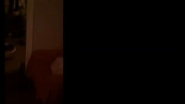 Как правильно клеить обои смотреть онлайн