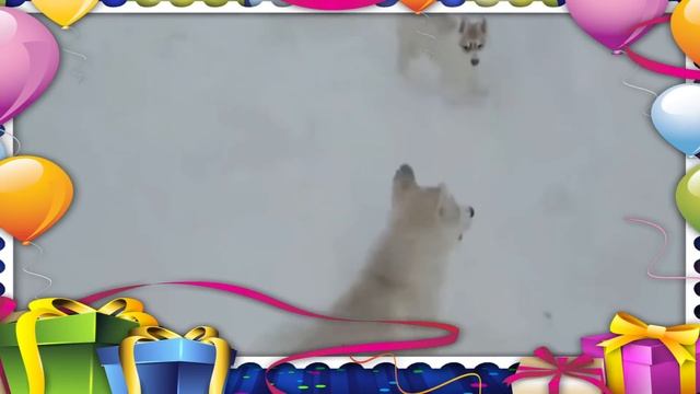 Хасятам 3 месяца смотреть онлайн