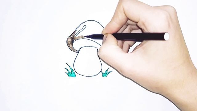 Рисование для самых маленьких - ГРИБ. Drawing for the little ones - MUSHROOM. 为小孩子画画 - 蘑菇。 смотреть онлайн