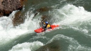 Доверяя процессу