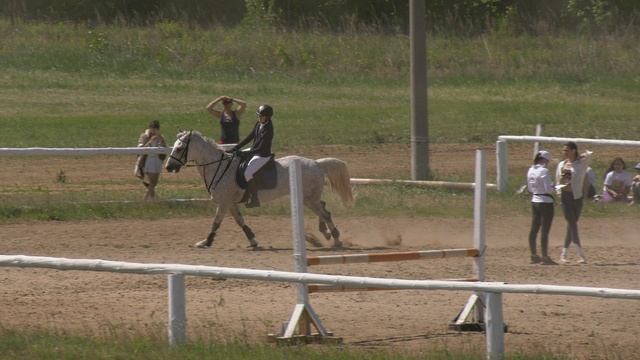 H2320037 смотреть онлайн