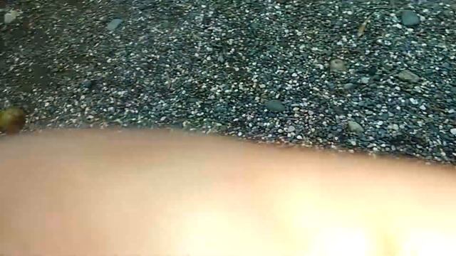 Абхазские мандарины (Кындыг) смотреть онлайн