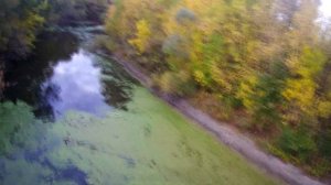 Река Чир в окрестностях станицы