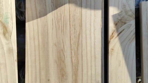 Текстура Павловнии. Характеристика древесины Павловнии. Деревина Павловнії, що виросла в Україні.