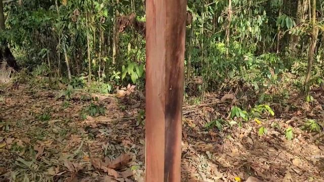 Боливия - земля свободы. новости