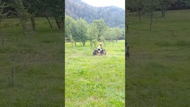 Kayo mini bull. Mountain trip смотреть онлайн