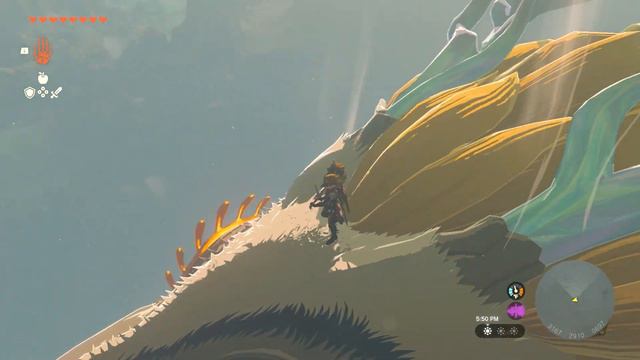 Where To Get Light Dragon Scales In Zelda Tears Of The Kingdom смотреть онлайн