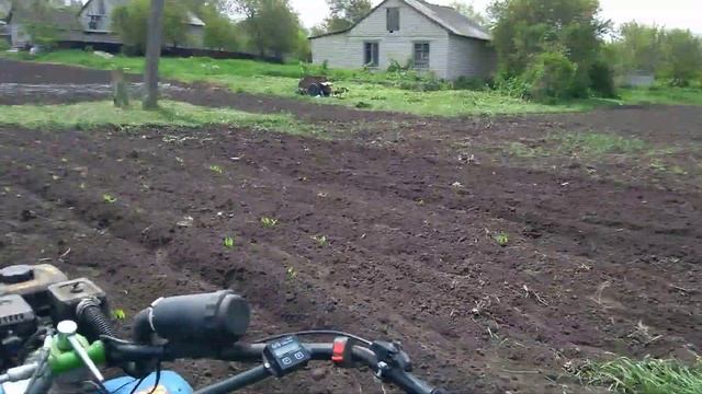 Первый тест приспособления для прополки и как не нужно пропалывать кукурузу смотреть онлайн