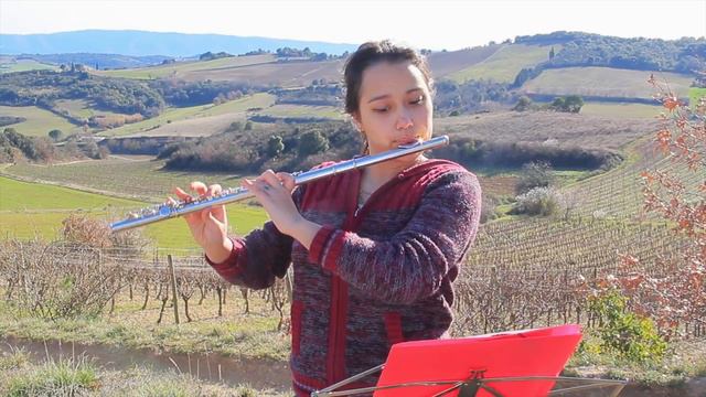 Flute - Bourrée Anglaise, J.S Bach смотреть онлайн