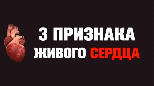 3 признака живого сердца || Абу Яхья Крымский смотреть онлайн