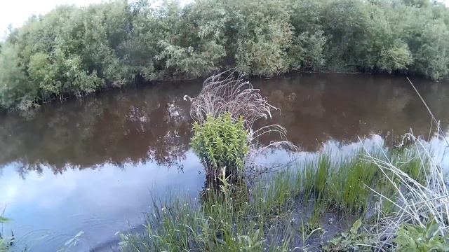 Ловля щуки на речке смотреть онлайн