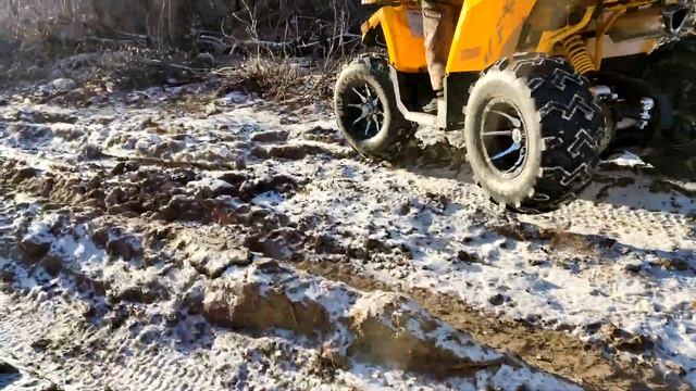 Обзор   WILD TRACK 200 X PRO 2024