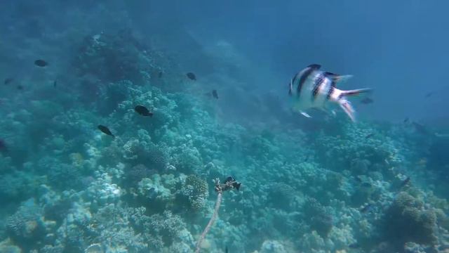 Makadi Bay 2017 смотреть онлайн