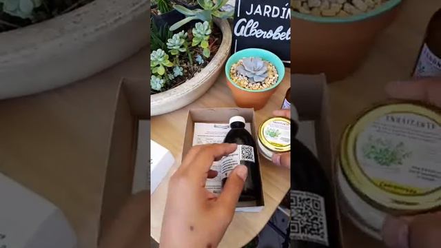 Unboxing del Kit para cuidar cactus y suculentas смотреть онлайн