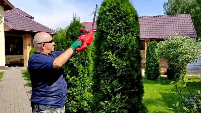 Формируем ёлочки и сосны третий год! смотреть онлайн