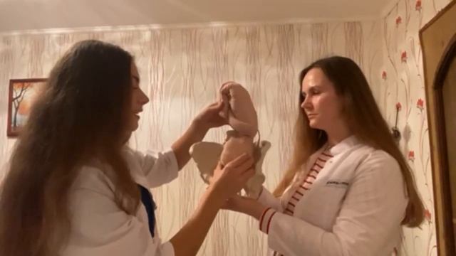 Основы кольпоскопии. Биомеханизмы родов и акушерские пособия. СНК акушерства и гинекологии ЛФ РНИМУ