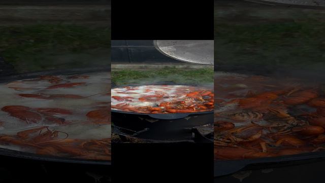 Раки🦞🦞🦞