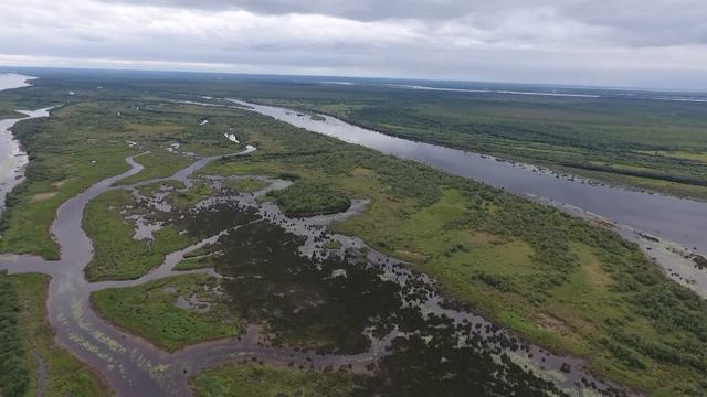 Няша о. Марабин, дельта Северной Двины смотреть онлайн