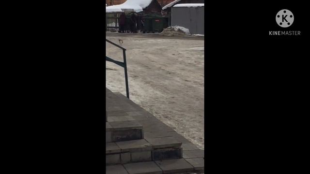 Бабульки копаются в мусоре у людей не хватает пенсии!!!!! 😱 смотреть онлайн