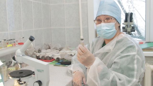 Паразиты животных и человека в Якутии смотреть онлайн