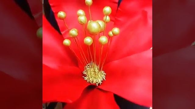 Красный огромный цветок для нового года смотреть онлайн