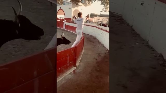 убежал от быка смотреть онлайн