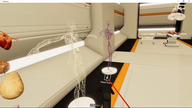 Human Anatomy Class VR смотреть онлайн