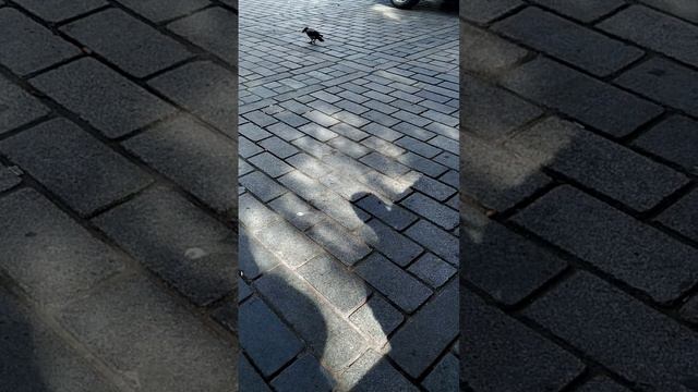 День 2. метро в Стамбуле. смотреть онлайн