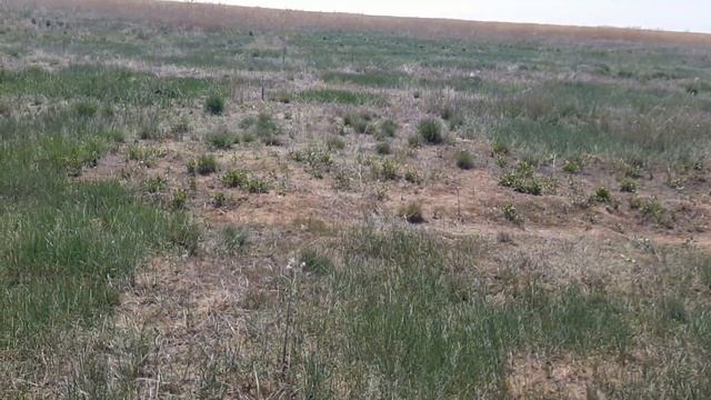 металокоп Fisher F22