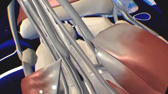 Human Anatomy VR_20220409174248 смотреть онлайн