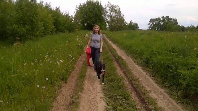Лана.10.06.2017 г. Прогулка.Окончание. смотреть онлайн