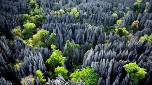 Мадагаскар | Интересные факты о Мадагаскаре