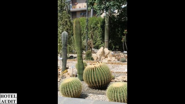 Италия Катания Orto Botanico dell'Università di Catania Orto Botanico dell'Universita di Catani смотреть онлайн