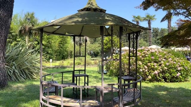 Батуми 2021.  Бассейн на открытом воздухе. Красивая территория. Sheraton Pool . Sheraton Batumi .