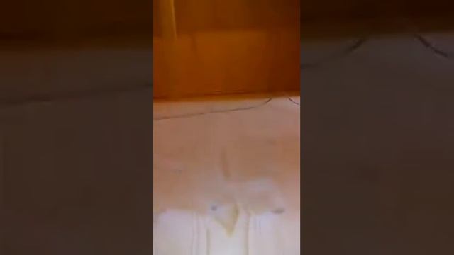 Циклевка деревянного пола в загородном доме. смотреть онлайн