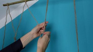 Как сделать опору для 5 метровой комнатной лианы Эпипремнум (Сциндапсус)