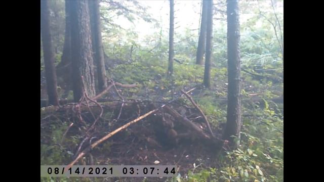 Рыболовные Приемы